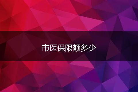 市医保限额多少