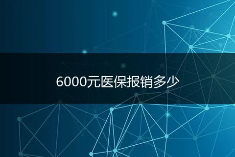 6000元医保报销多少