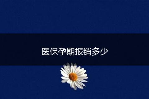医保孕期报销多少
