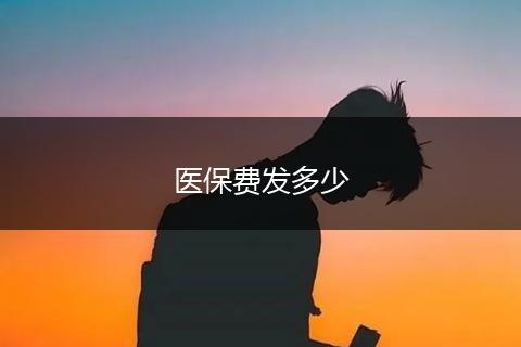 医保费发多少