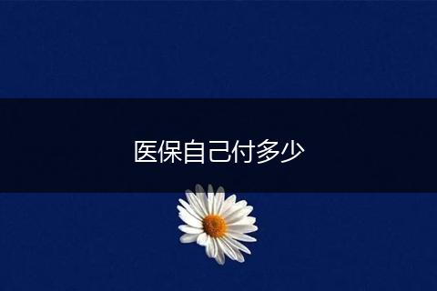 医保自己付多少