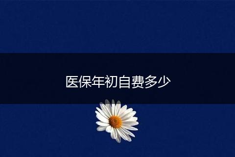 医保年初自费多少