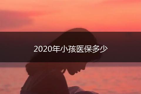 2020年小孩医保多少