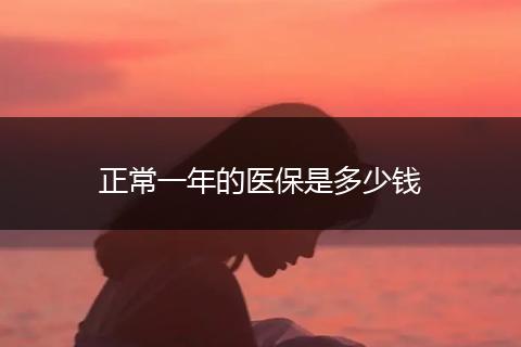 正常一年的医保是多少钱