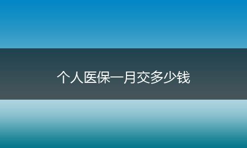 个人医保一月交多少钱