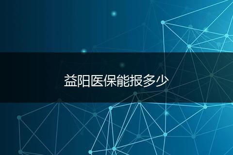 益阳医保能报多少