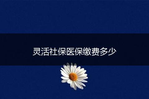 灵活社保医保缴费多少