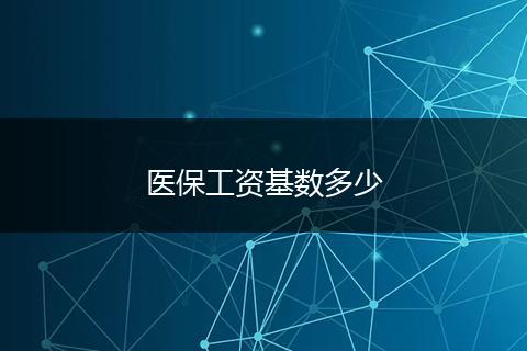 医保工资基数多少