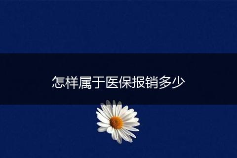怎样属于医保报销多少