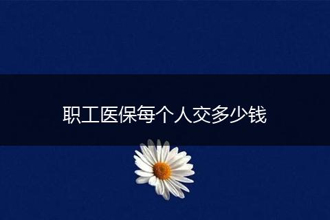 职工医保每个人交多少钱
