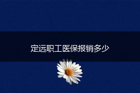 定远职工医保报销多少