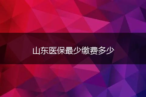 山东医保最少缴费多少
