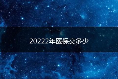 20222年医保交多少