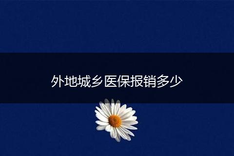外地城乡医保报销多少