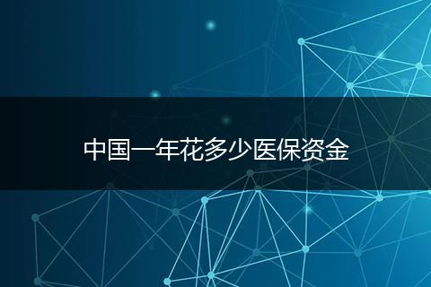 中国一年花多少医保资金