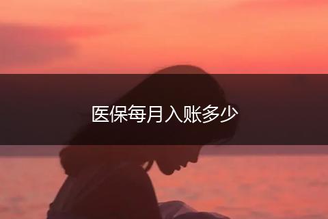 医保每月入账多少