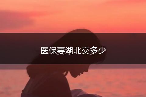 医保要湖北交多少
