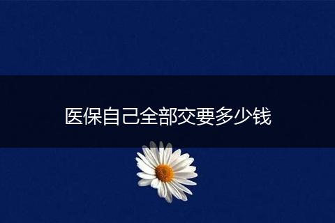 医保自己全部交要多少钱