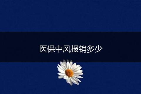 医保中风报销多少