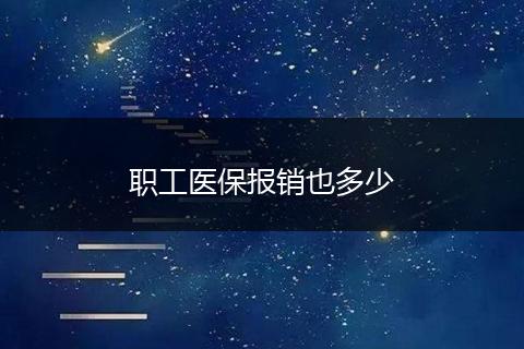职工医保报销也多少