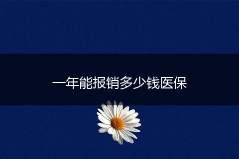 一年能报销多少钱医保