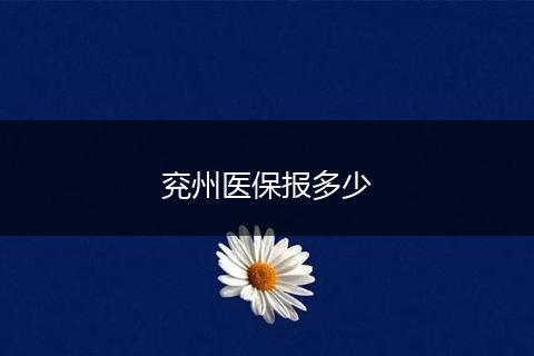 兖州医保报多少