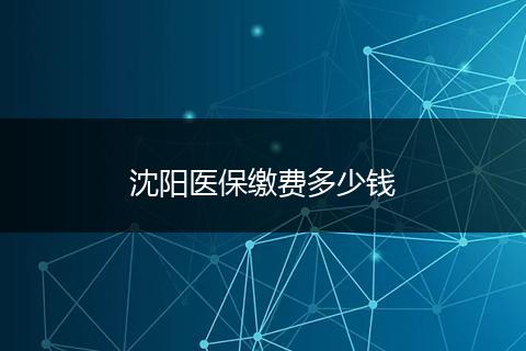沈阳医保缴费多少钱