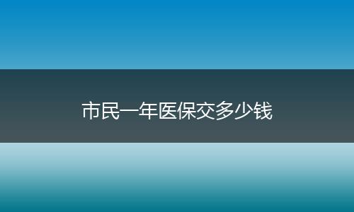 市民一年医保交多少钱