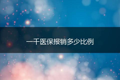 一千医保报销多少比例