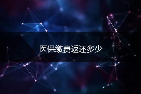 医保缴费返还多少