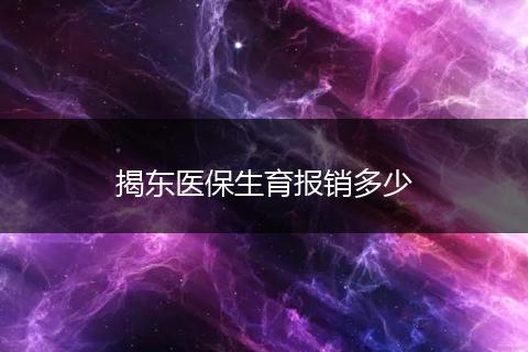 揭东医保生育报销多少