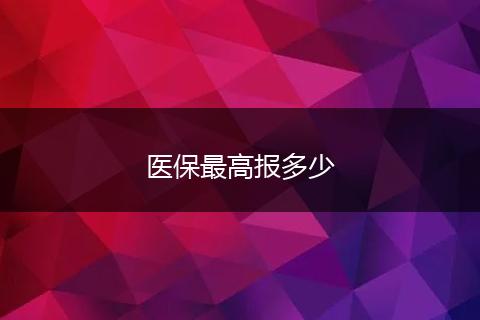医保最高报多少