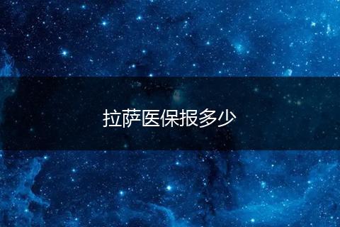 拉萨医保报多少