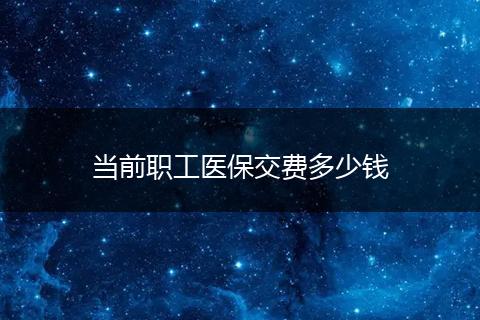 当前职工医保交费多少钱