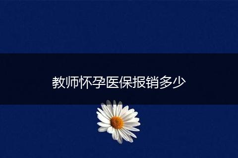 教师怀孕医保报销多少