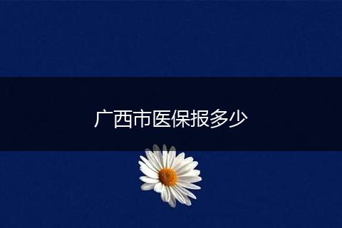 广西市医保报多少