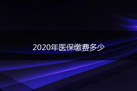 2020年医保缴费多少