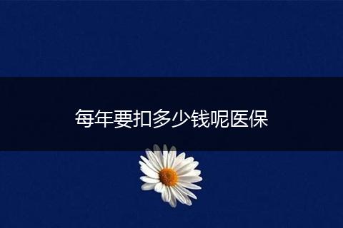 每年要扣多少钱呢医保