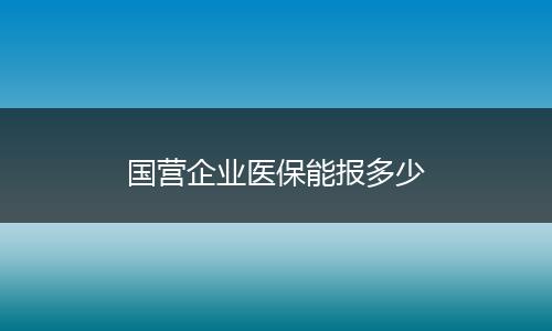 国营企业医保能报多少