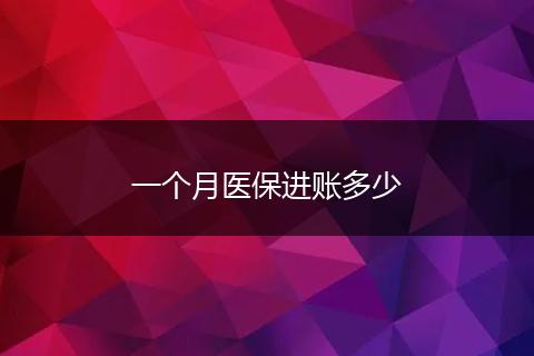 一个月医保进账多少