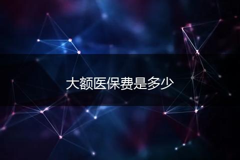 大额医保费是多少