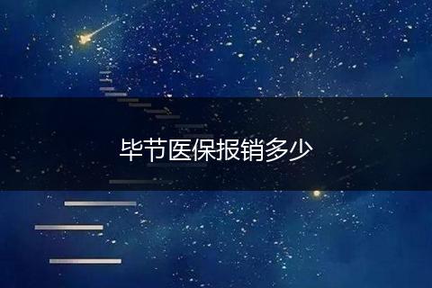 毕节医保报销多少