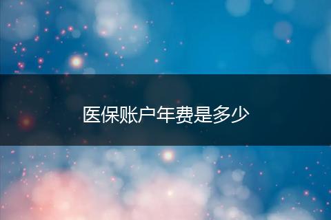 医保账户年费是多少