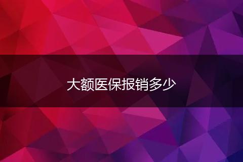 大额医保报销多少