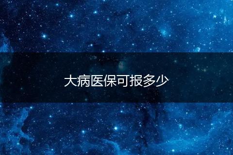 大病医保可报多少
