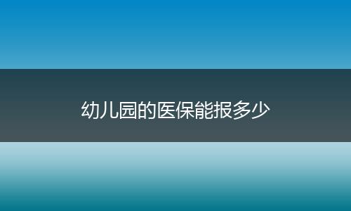 幼儿园的医保能报多少