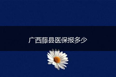 广西藤县医保报多少