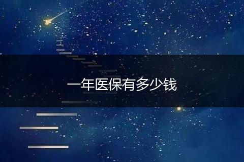 一年医保有多少钱