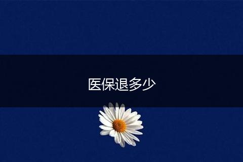 医保退多少