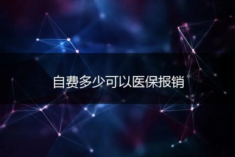 自费多少可以医保报销